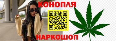 гидропоника Нальчик