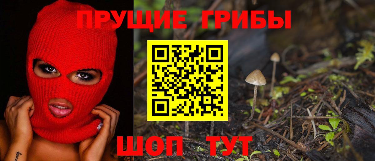 Усть-Джегута  Галлюциногенные грибы Magic Shrooms  Вход с VPN 