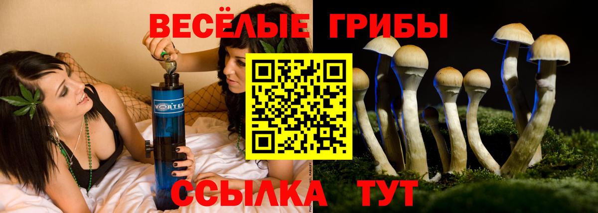Псилоцибиновые грибы прущие грибы Усть-Джегута